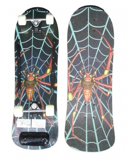 AKCE! Skateboard Acra barevný pavouk