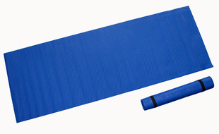 Karimatka fitness 173x61x0,4cm modrá