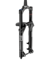 Vidlice RockShox Domain Gold Isolator RC3 - Crown 29 Boost™ 15x110 160mm Black