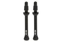 Ventilek FULCRUM, pro bezdušový systém 2-WAY FIT, 55mm