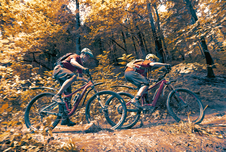 Zadní blatník SKS X-Blade 29
