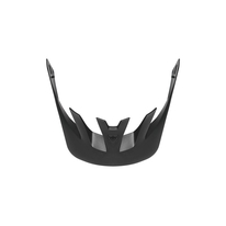 Kšilt náhradní TSG Scope visor black