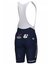 Kraťasy WILIER GROUPAMA FDJ MC Replica