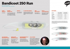 Čelovka Knog Bandicoot Run 250lm modrá