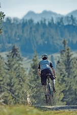 Sada blatníků SKS Speedrocker Gravel XL