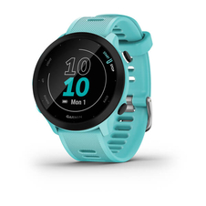 Hodinky Garmin Forerunner 55, Aqua