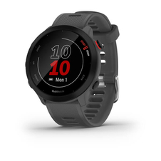 Hodinky Garmin Forerunner 55, Monterra Grey