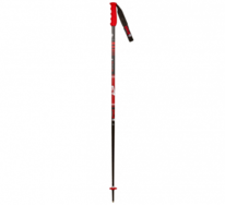 Sjezdové hole VOLA Alpine SL TEAM Ski Pole Junior