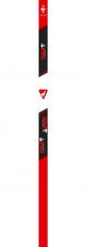 Sjezdové hole VOLA SL CARBON