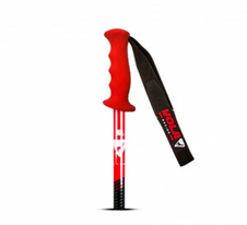 Sjezdové hole VOLA SL CARBON