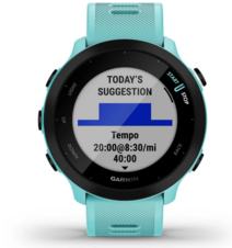 Forerunner 55, Aqua_1