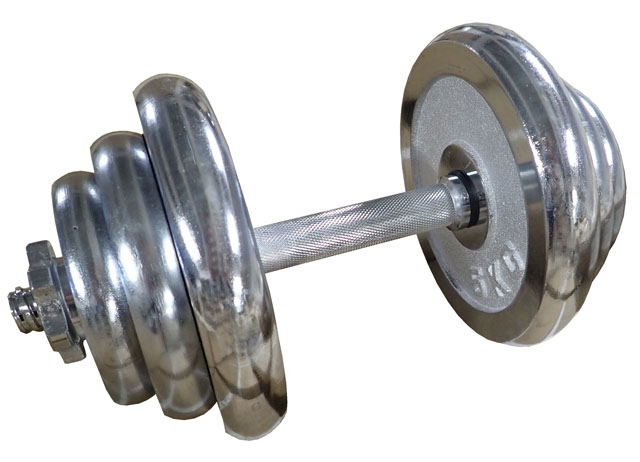 Činka jednoruční 20kg 25mm chromovaná