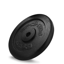 Litinový kotouč Spokey SINIS, 29mm, 0,5kg