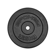 Litinový kotouč Spokey SINIS, 29mm, 1,25kg