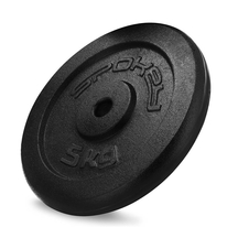 Litinový kotouč Spokey SINIS, 29mm, 5kg