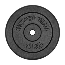 Litinový kotouč Spokey SINIS, 29mm, 5kg