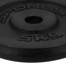 Litinový kotouč Spokey SINIS, 29mm, 5kg