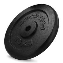 Litinový kotouč Spokey SINIS, 29mm, 10kg