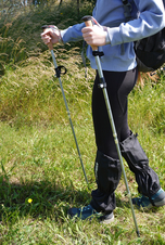 Skládací 5-dílné trekingové hole, 1 pár s příslušenstvím