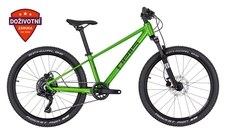Juniorské kolo Pells Rocket Air 24 Green