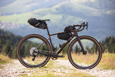 Sada Campagnolo Ekar DB 1x13, 172,5mm/38 zubů