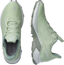 Boty Salomon Alphacross 3 GTX W spray/white