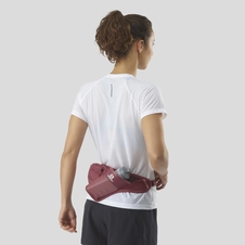 Ledvinka Salomon Active belt earth red/cabernet