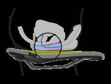 Sedlo ERGON SF Sport Gel Men S/M