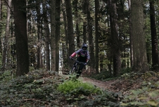 Dres Force RECKLESS dl. rukáv, černo-růžovo-fluo