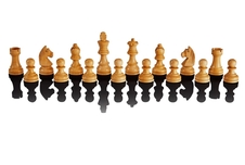 Šachový počítač Millennium ChessClassics Exclusive