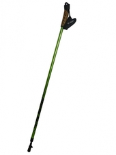 Hole HAVEN Roller Scater NEO