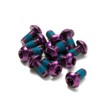 Šrouby na kotouče Reverse Steel M5 x 10 mm, Torx 25, 12 ks