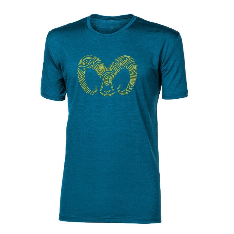 Triko krátké pánské Progress HRUTUR RAM merino petrol melír