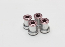 Šrouby převodníku ShamanRacing 13mm, 4ks