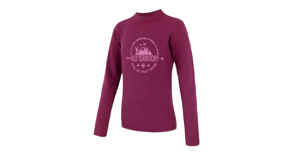 Dětské triko dl.rukáv SENSOR MERINO DF TERRITORY lilla 